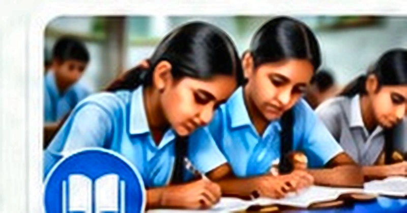 Educational support